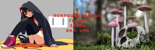 наркотики Алексеевка
