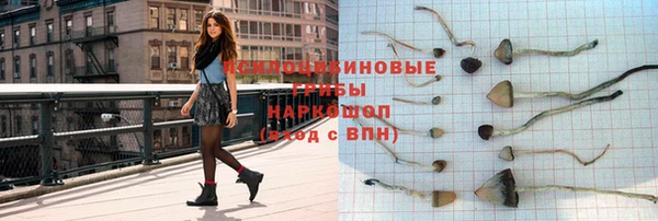 ПСИЛОЦИБИНОВЫЕ ГРИБЫ Алексин
