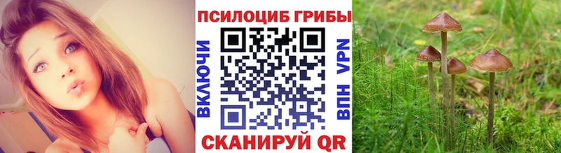 Псилоцибиновые грибы мицелий  Данков 